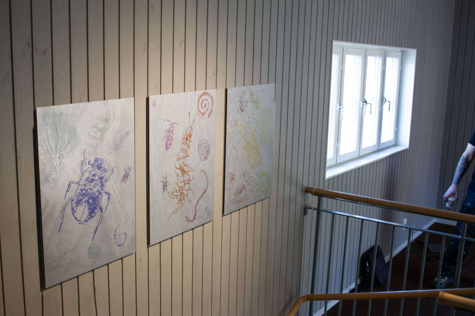 Bild 8